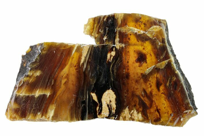 Polished Blue Indonesian Amber - West Java, Indonesia #162556